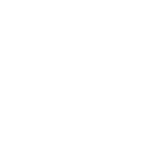 WEBSITE ICONS-IG