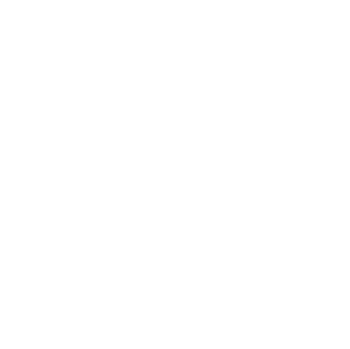 WEBSITE ICONS-IG